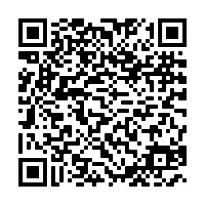 QR Code Petition